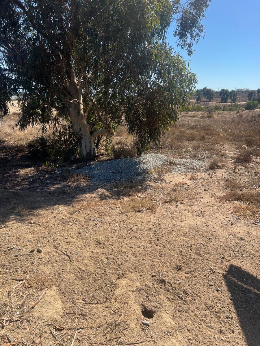 Commercial Property for Sale in Steenbergs Cove Western Cape